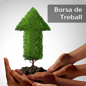Banner BorsaTreball2
